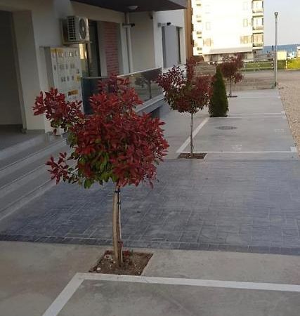 Mamaia Nord Apartament 18 Năvodari Zewnętrze zdjęcie